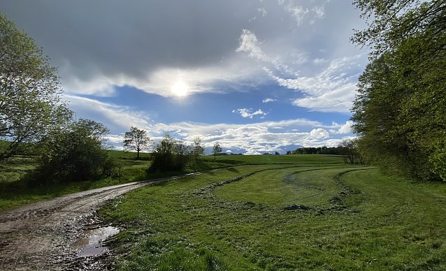 Bild: Wiese bei Limlingerode