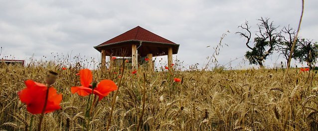 Bild: L&auml;dt zum verweilen ein: der neue Info-Pavillon bei Buchholz