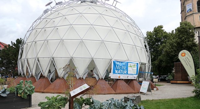 Bild: Der klimapavillon in der Nordh&auml;user Altstadt