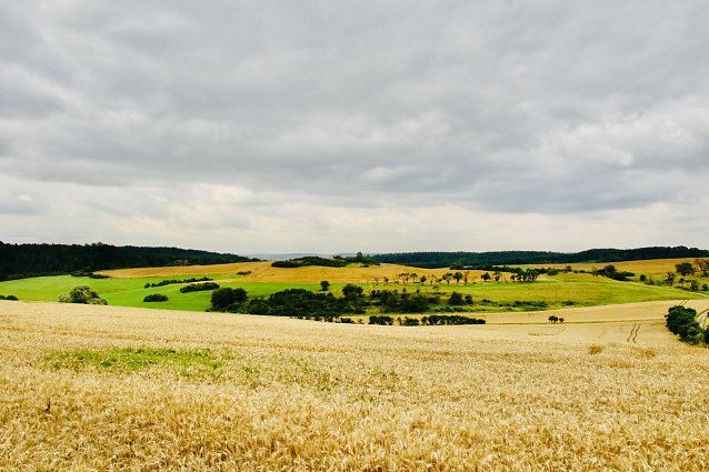 Bild: Wetterbild