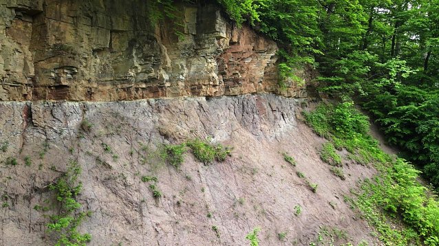 Bild: Die "Lange Wand" l&auml;dt zum Tag des Geotops