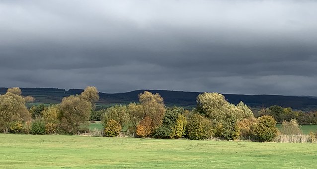 Bild: Herbststimmung