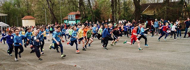Bild: Der letzte Crosslauf liegt inzwischen zwei Jahre zur&uuml;ck