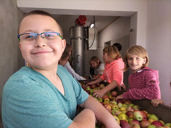 Bild: Stolze 1020 Kilogramm &Auml;pfel brachten die Sch&uuml;lerinnen und Sch&uuml;ler zusammen. Verarbeitet wurde das ganze  in der Hofmosterei Ibe
