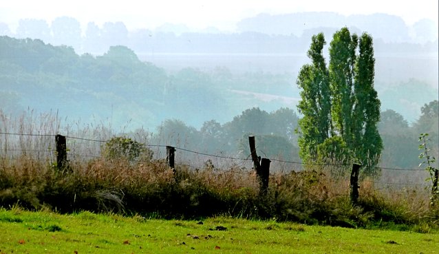 Bild: Blick von der Grabst&auml;tte Silberborths
