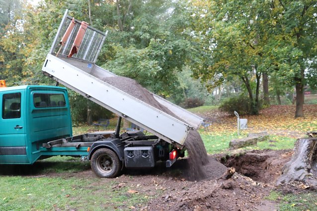 Bild: Im Stadtpark bereitet man die Neupflanzungen vor, welche die Trockensch&auml;den der letzten Jahre ersetzen sollen