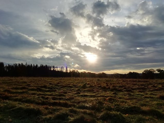 Bild: Bei Sophienhof begl&uuml;ckte uns der Herbst heute morgen noch mit Sonnenschein