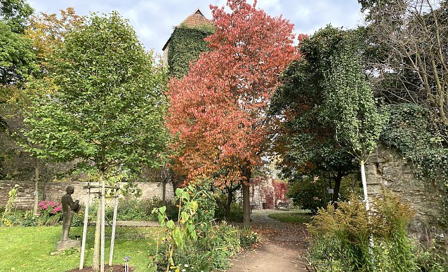 Bild: Im Arboretum in Bad Langensalza