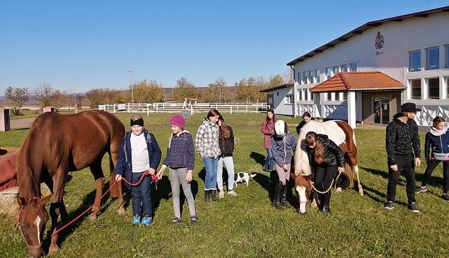 Bild: Ferienspiele auf der Farm der Familie Forst in Herreden
