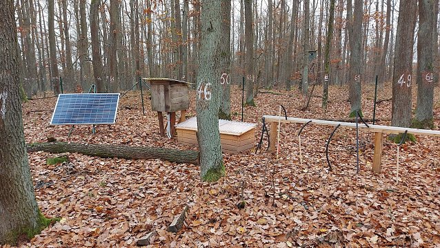 Bild: Eine der insgesamt 15 Waldmessstationen der Th&uuml;ringenForst-A&ouml;R