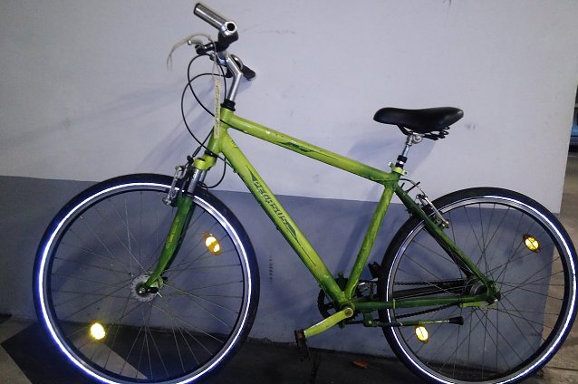 Bild: Ein gr&uuml;nes Fahrrad Pegasus wartet auf seinen Besitzer