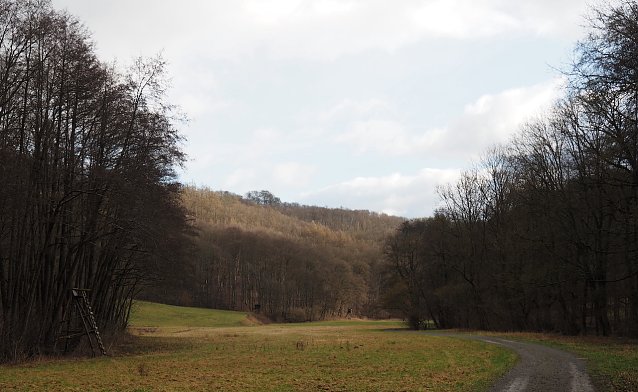 Bild: Bei der Ebersburg