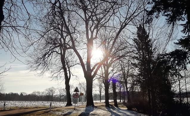 Bild: Sonne pur heute im Harz