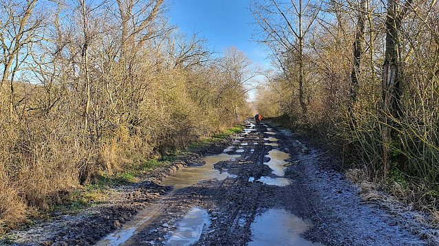 Bild: Ein gl&uuml;cklicherweise  nicht asphaltierter Weg zwischen Langenbogen und K&ouml;llme (etwa km 90): Schlamm und Pf&uuml;tzen auch au&szlig;erhalb des Alten Stolbergs waren Markenzeichen des 41. S&uuml;dharz-Hunderters.  