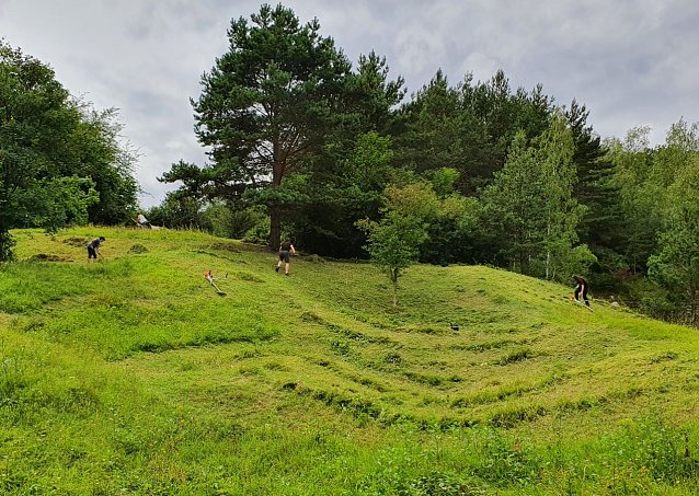 Bild: Mitglieder und Freunde des BUND-Kreisverbandes Nordhausen bei der allj&auml;hrlichen Mahd eines Magerrasens im neuen Naturschutzgebiet Bromberg bei Niedersachswerfen im August 2021