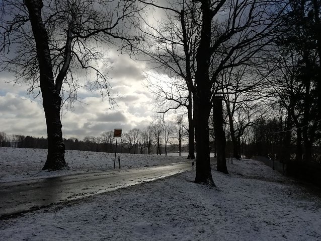 Bild: Im Harz bestimmt der Winter weiterhin das Wetter