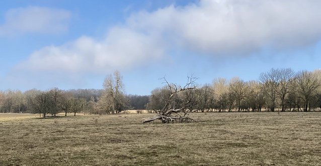 Bild: Im Eichsfeld