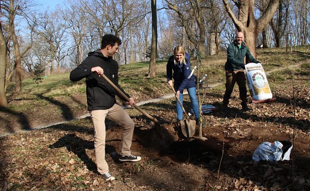 Bild: v.r.: Bj&ouml;rn Diener, Diana Moraweck und Christoph Haase vom Planungsb&uuml;ro LA21 spendeten dem Park Hohenrode heute einen neuen Baum und f&uuml;llten damit eine L&uuml;cke im historischen Bestand