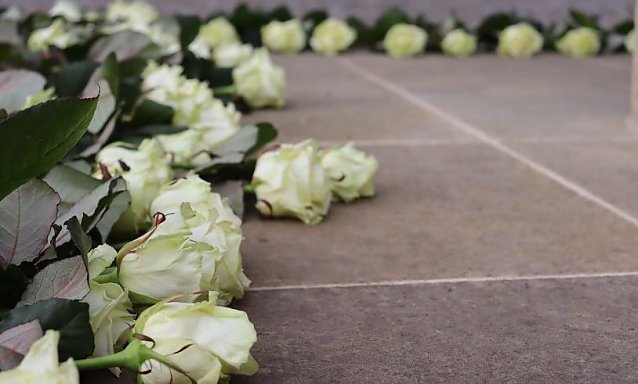 Bild: Wei&szlig;e Rosen zum Gedenken an die Opfer der Bombardierungen