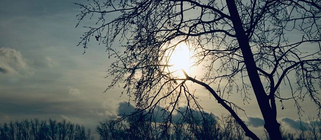 Bild: Wetterbild