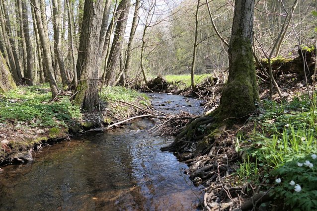 Bild: Blick auf den Hardbach