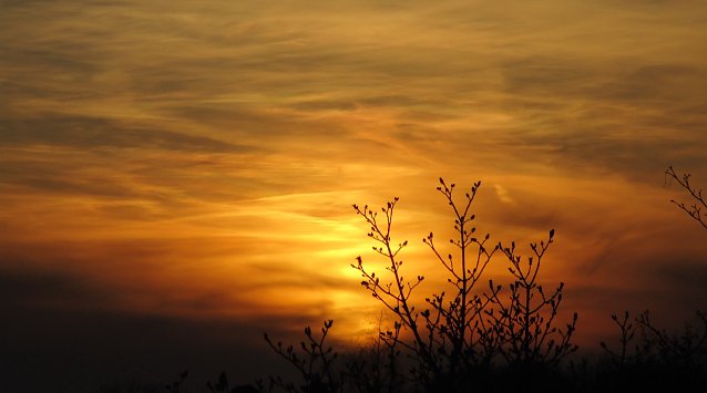 Bild: Sonnenuntergang Nordhausen