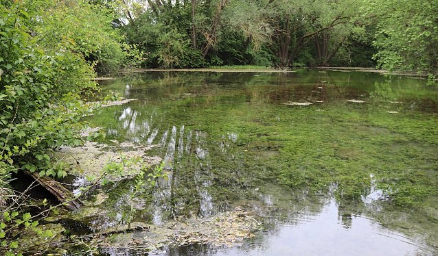 Bild: Antworte auf Fragen zur Gispkarstlandschaft
