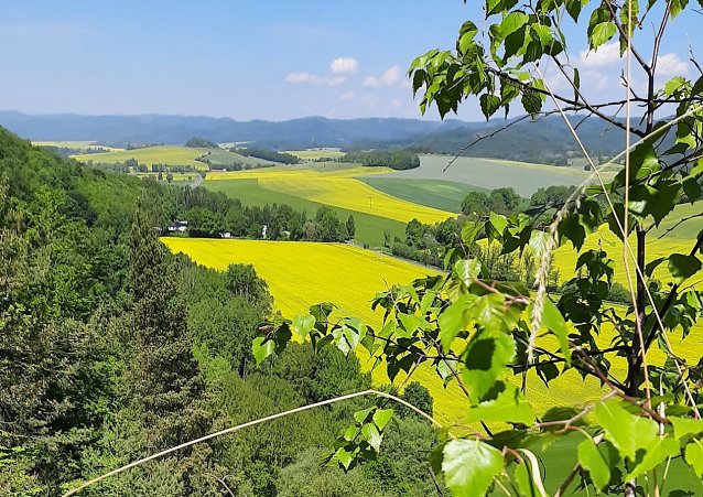 Bild: Wanderung am Wochenende am M&uuml;hlberg