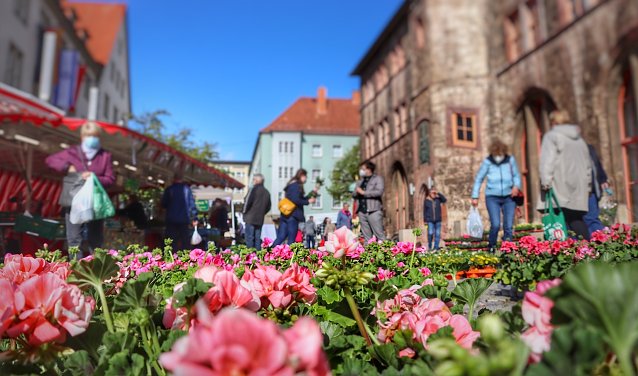 Bild: Geranienmarkt vor dem Rathaus