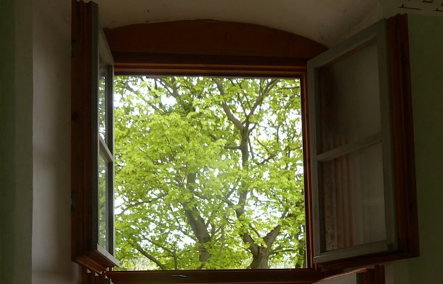 Bild: Oberteil des neuen Fensters