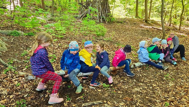 Bild: Waldprojekt im Kindergarten