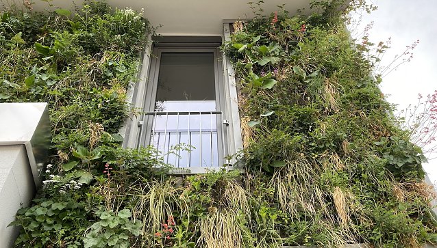 Bild: Nordhausens gr&uuml;nstes Haus wurde feierlich eingeweiht