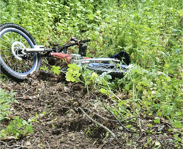 Bild: Fahrrad-Fund im Stadtpark