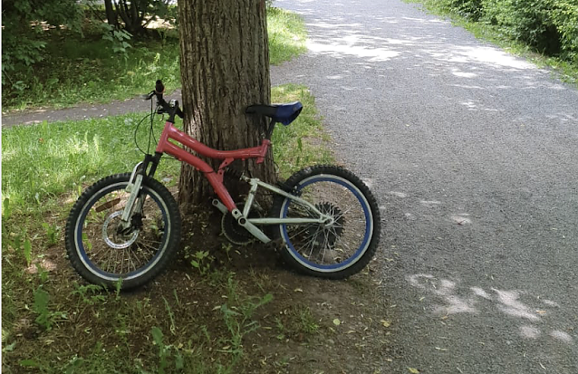 Bild: Fahrrad-Fund im Stadtpark