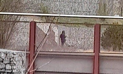 Bild: Den Blick fest gen Mekka gerichtet betet der Angeklagte hier auf dem Petersberg