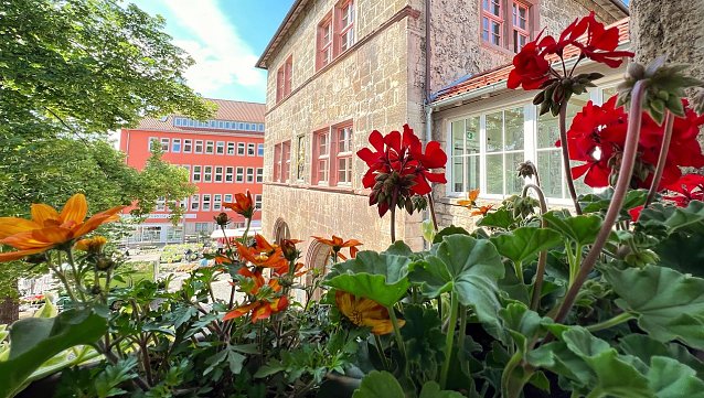 Bild: Blumenschmuck an den Rathausfenstern