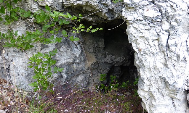 Bild: Der wieder aufgefundene Eingang der Ziegenh&ouml;hle 