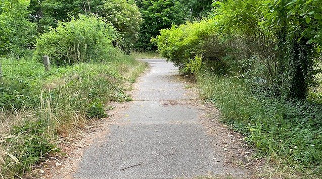 Bild: Hoppelweg in Buschlandschaft: Nordhauen-Niedersalza