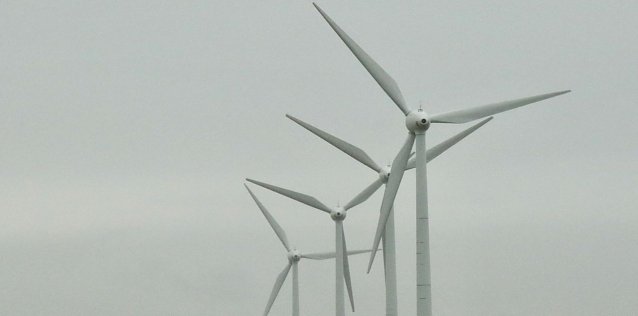 Bild: Windr&auml;der bei Nentzelsrode