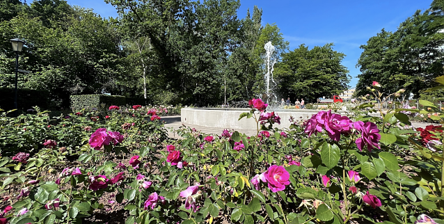 Bild: Die zweite Runde der "Parknick"-Reihe wird am Sonntag im Rosengarten eingel&auml;utet