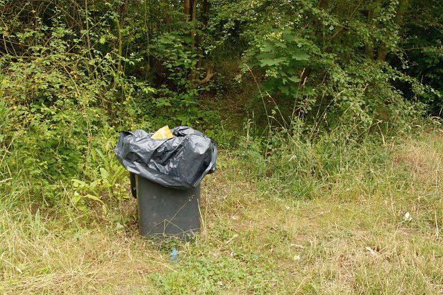 Bild: Eingelassene M&uuml;lltonnen am Rande der Kiesgew&auml;sser
