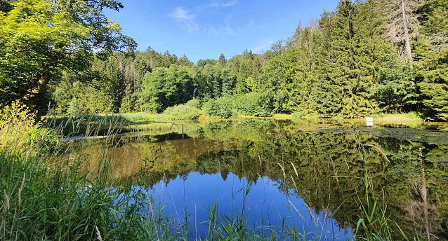 Bild: Dar hardteich bei Neustadt