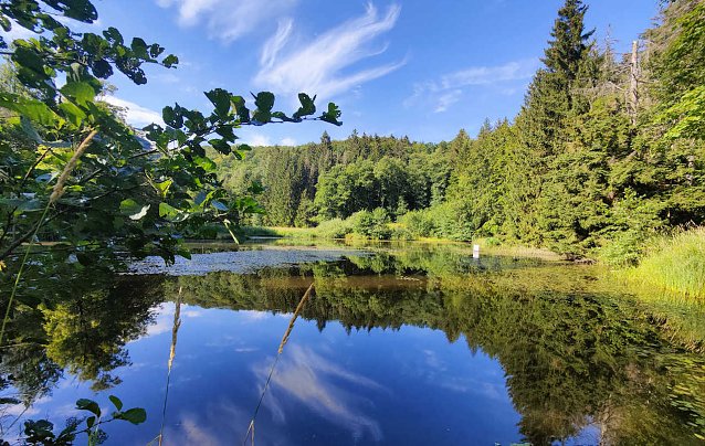 Bild: Bei Neustadt/Harz