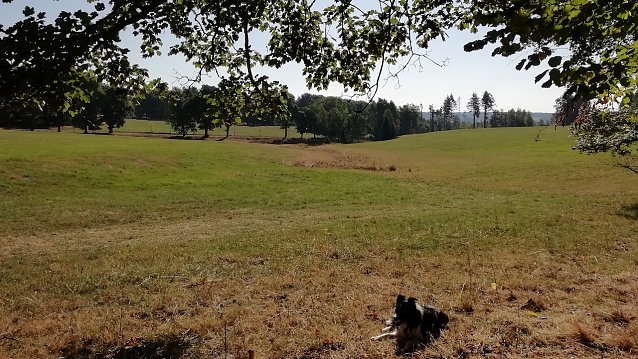 Bild: Sophienhof meldete heute fr&uuml;h am Morgen schon 17 Grad.