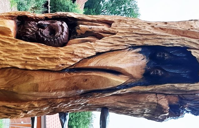 Bild: Ausschnitt von der Stele zum Urwaldpfad