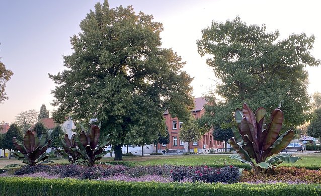Bild: Kurpromenade Bad Langensalza am Morgen