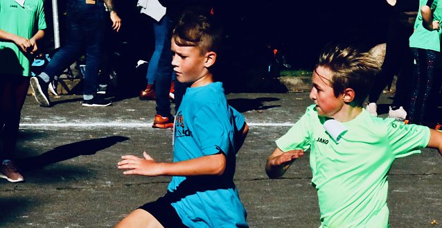 Bild: Herbstcrosslauf im Gehege