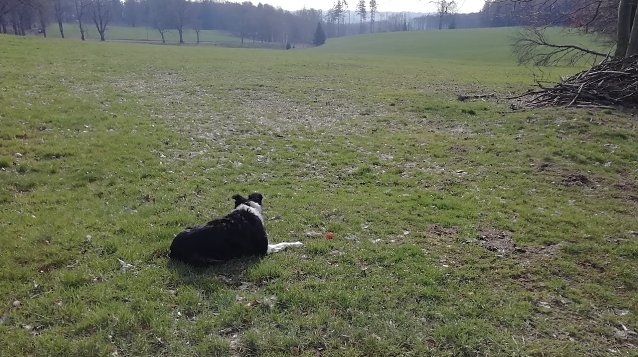 Bild: Null Grad und windig heute Morgen in Sophienhof