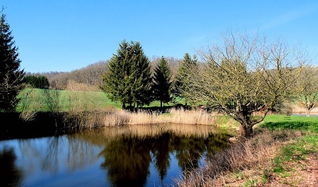 Bild: Am Rosenteich