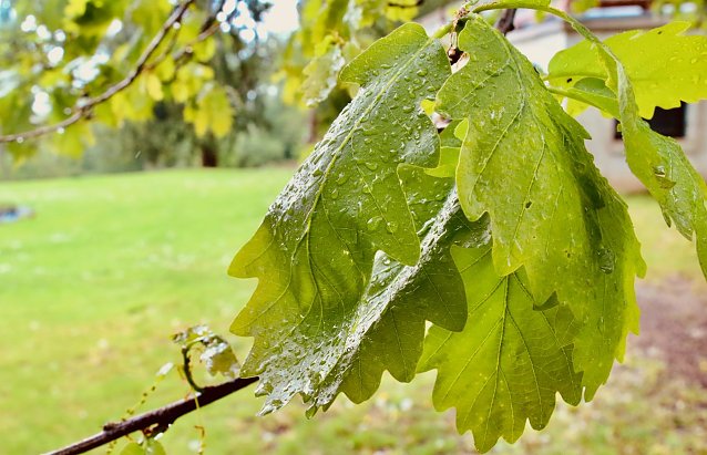 Bild: Wetterbild